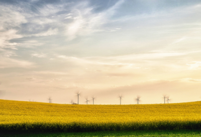 ​法学实习报告