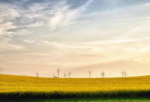 1689115399619050.png image.png