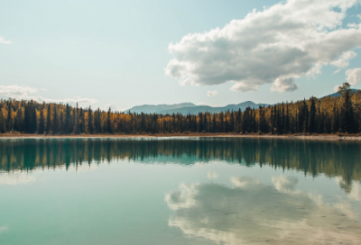 ​电子厂实习报告