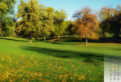 ​会计调查报告范文