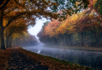 ​教师读书笔记大全