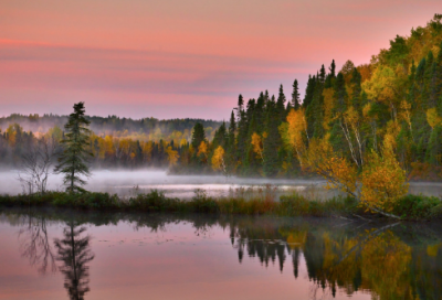 ​法院刑庭实习报告