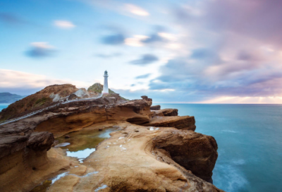 ​医生述职报告