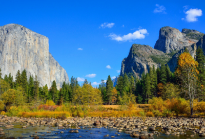 ​汽车销售实习报告