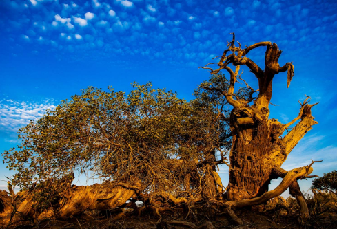 1689120377611222.png image.png