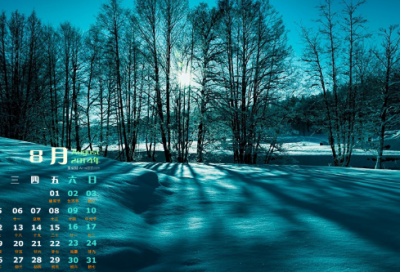 ​实训报告心得体会