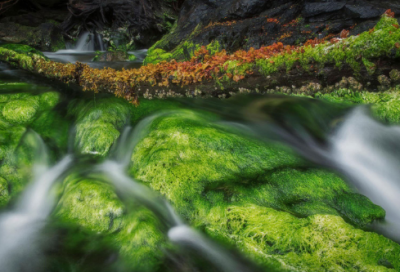​市场营销实习报告
