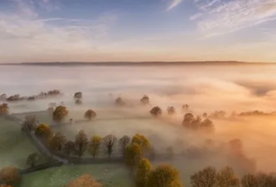 ​大学生就业创业社会实践报告