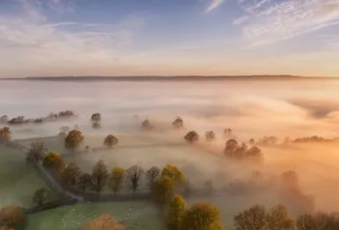 1689123529437970.png image.png