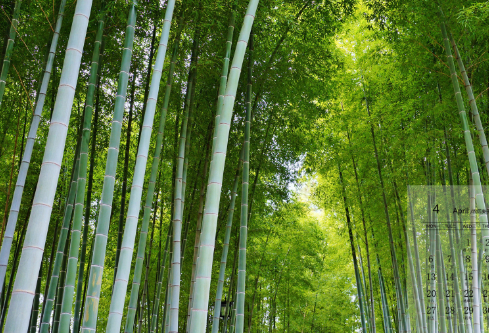 1689123695805250.png image.png