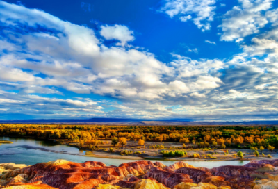 ​中学生社会调查报告