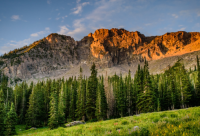 ​白色污染调查报告