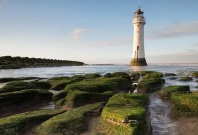 ​广交会实习报告