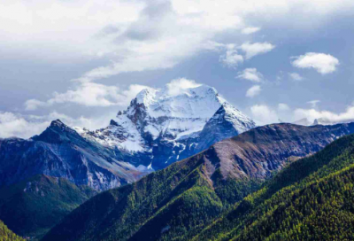 ​空巢老人调查报告