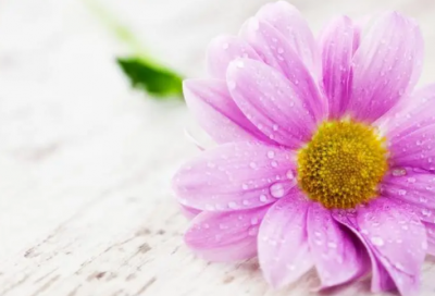 ​药店自查报告