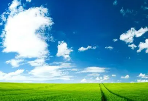 1689126690414346.png image.png