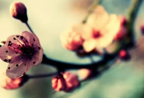 1689126856414151.png image.png