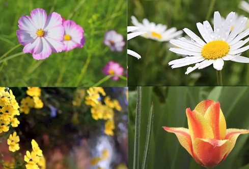 1689127022584359.png image.png