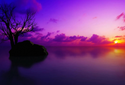 ​大学生寒假社会实践报告7篇