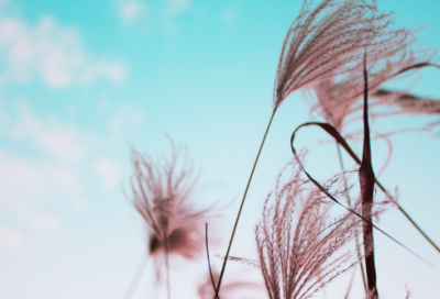 ​社区主任的述职报告7篇