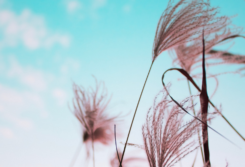 1689127519831738.png image.png