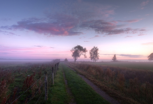 1689127851180204.png image.png