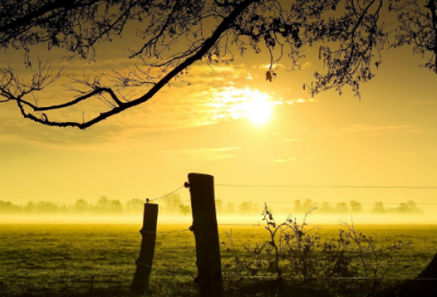 ​社会实践报告2000字