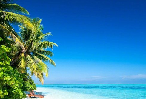 1689187587408071.png image.png