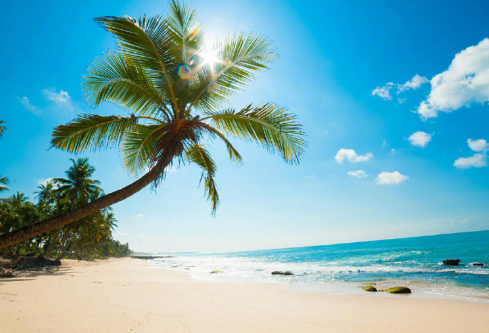 1689187754681567.png image.png