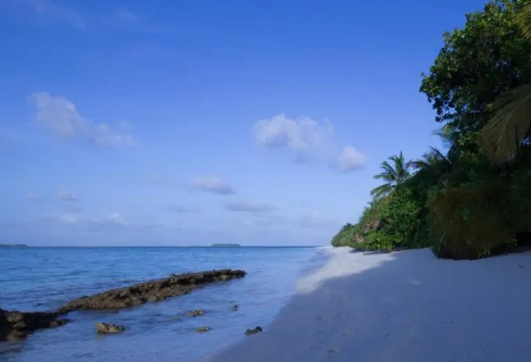 1689188253447511.png image.png