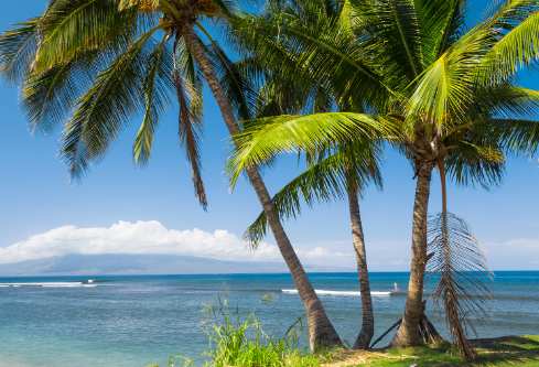 1689188751600879.png image.png