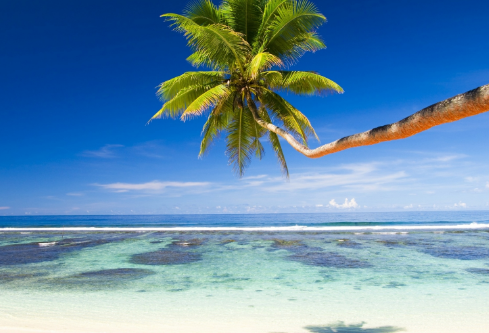 1689189416209064.png image.png