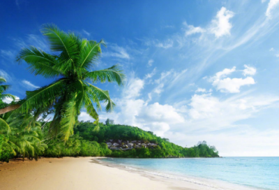 ​2023最好的网名(优选2661个)