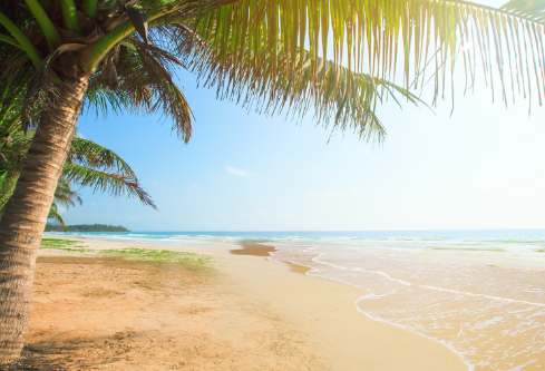 1689191577494273.png image.png