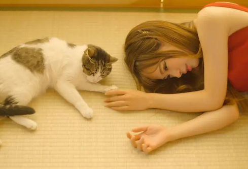 1690411362649978.png image.png