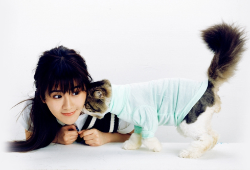 1690594519701776.png image.png