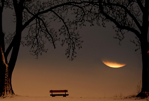 1690799937159128.png image.png