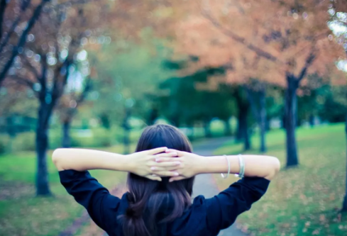 1690809943220814.png image.png