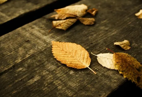 1690825279667621.png image.png