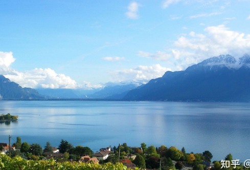 1690829445897390.png image.png