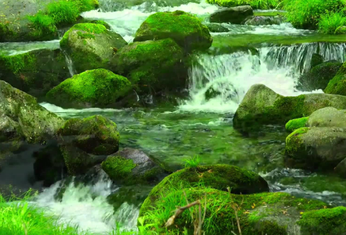 1690831777562706.png image.png