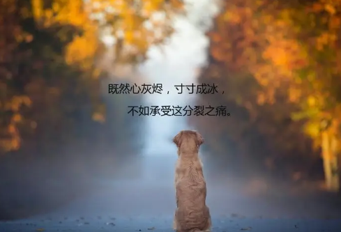 1690832110425561.png image.png