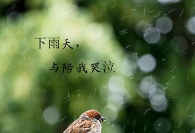 ​看了会哭的心痛心累伤感网名(392个)