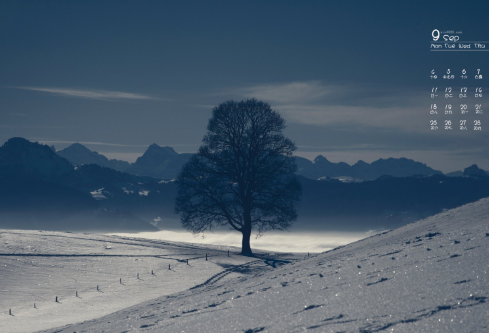 1690839776105286.png image.png