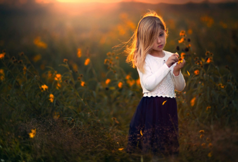 1690841609269558.png image.png