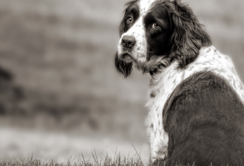 1690844441278667.png image.png