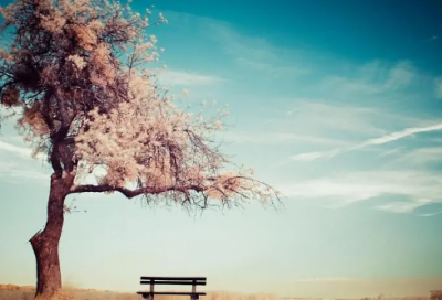 ​精选游戏英文名字大全(精选292个)