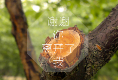 ​最好听的女孩英文名字(优选149个)