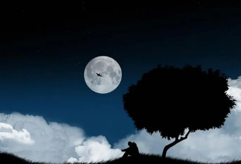 1690875576251654.png image.png