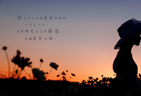 1690880746154344.png image.png